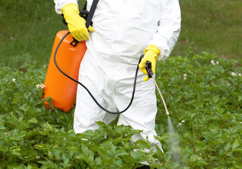 A man using custom farm sprayers to spread pesticide on vegetables